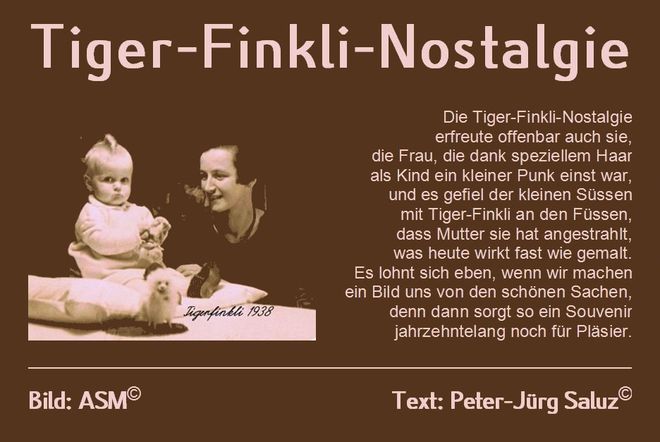 Saluz Tiger Finkli Nostalgie